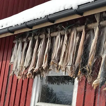 Nordlandshus Ved Lofotr